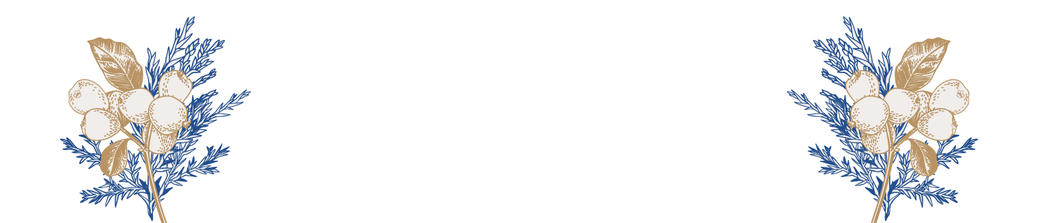 Assets_Footer