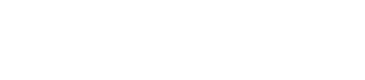 light logo